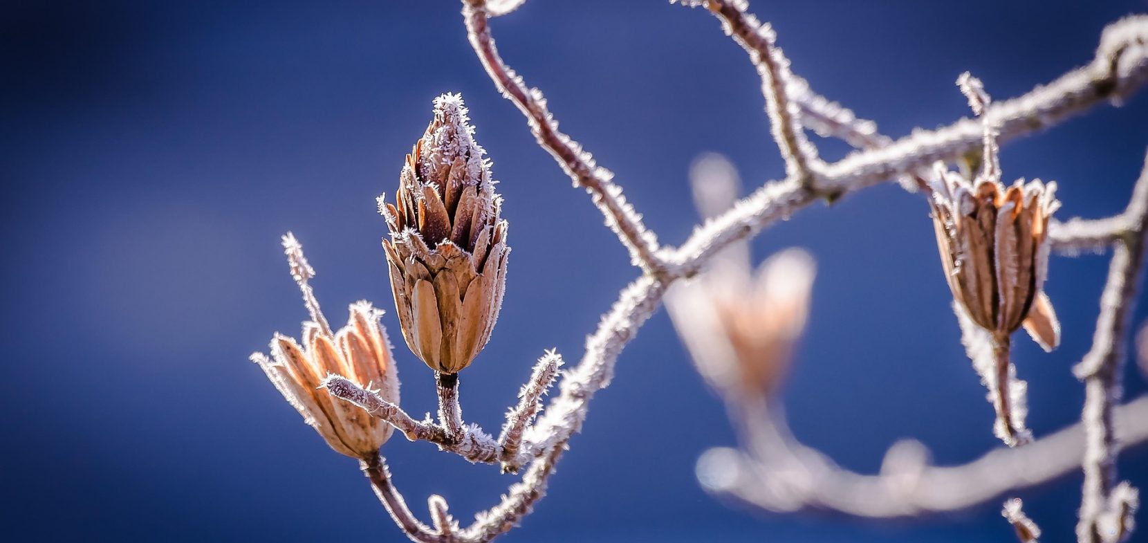 Akuteller Gemeindebrief